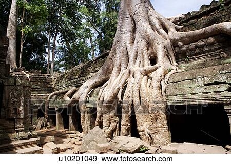 Outdoors View Large Photo Image Stock Photo - Outdoors. Fotosearch