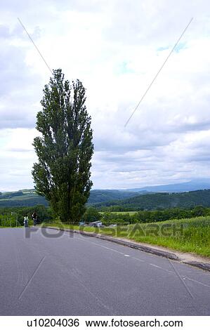 Stock Photograph - Background People, Outdoors, Day. Fotosearch