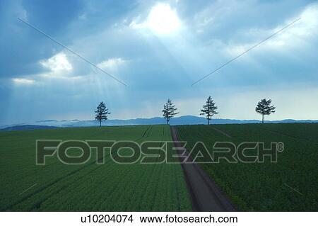 Picture - Outdoors, Day. Fotosearch