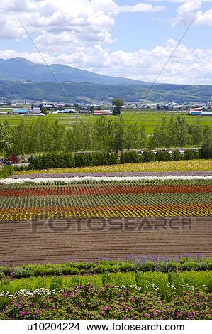 Outdoors, Day View Large Photo Image Picture - Outdoors, Day. Fotosearch
