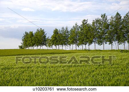 Outdoors, Day View Large Photo Image Stock Image - Outdoors, Day. Fotosearch