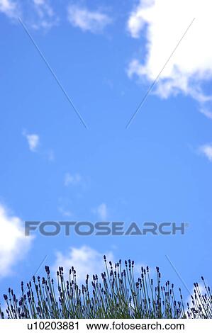 Stock Image - Outdoors, Day. Fotosearch