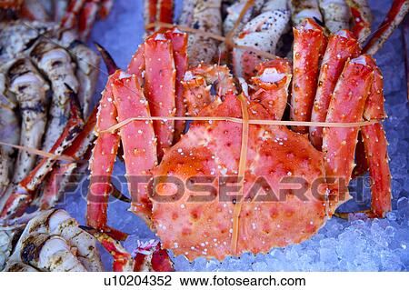 Outdoors, Day View Large Photo Image Stock Image - Outdoors, Day. Fotosearch