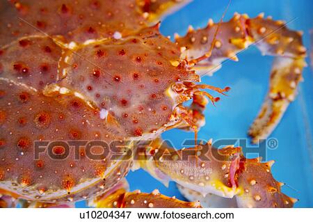 Stock Photo - Outdoors, Day. Fotosearch