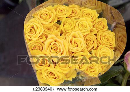 Stock Photo - Bunch of yellow roses, close-up. Fotosearch