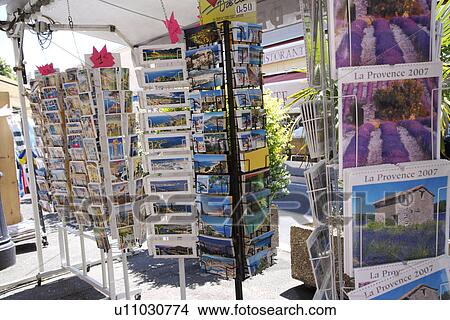Picture - Flowers, close-up. Fotosearch