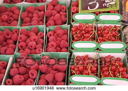 Fruits on stall View Large Photo Image Stock Photo - Fruits on stall. Fotosearch