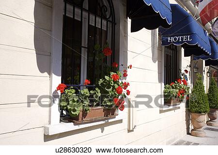 Street scene in Nice, South France View Large Photo Image Stock Image - Street scene in Nice, South France. Fotosearch
