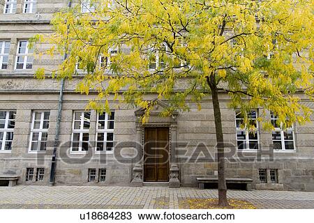 Front view of a building with tree View Large Photo Image Stock Image - Front view of a building with tree. Fotosearch