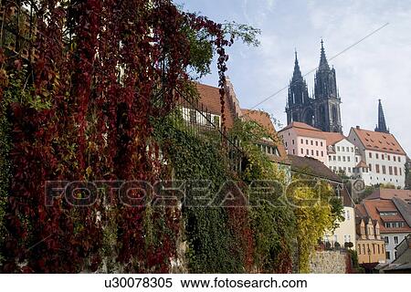 Stock Photography - Houses with trees. Fotosearch