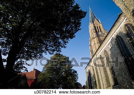 Picture - Low angle view of a church and trees. Fotosearch