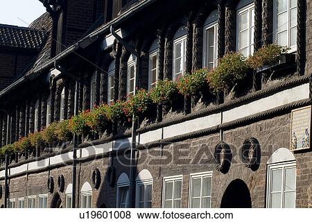 Stock Photo - Windows with flowers of a building. Fotosearch