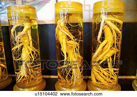 Ginseng in jar View Large Photo Image Stock Image - Ginseng in jar. Fotosearch