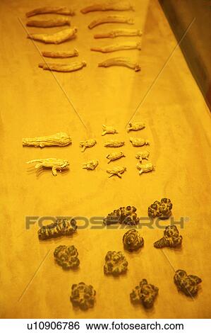 Stock Photograph - Ginseng placed in order on table. Fotosearch