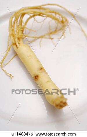 Stock Photography - Ginseng. Fotosearch