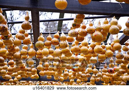 Gourds, Korea View Large Photo Image Stock Photo - Gourds, Korea. Fotosearch
