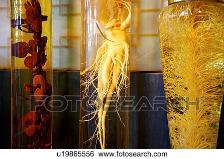 Stock Photograph - Herbs in jar, Korea. Fotosearch