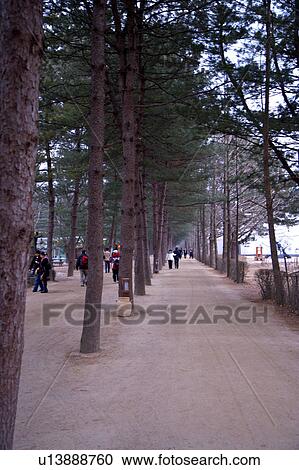 Stock Image - People in Nanyi island, Korea. Fotosearch