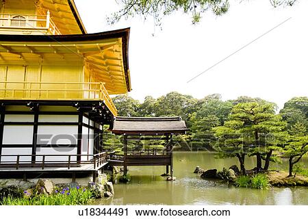 Japan, Kyoto, Golden Temple View Large Photo Image Stock Image - Japan, Kyoto, Golden Temple . Fotosearch
