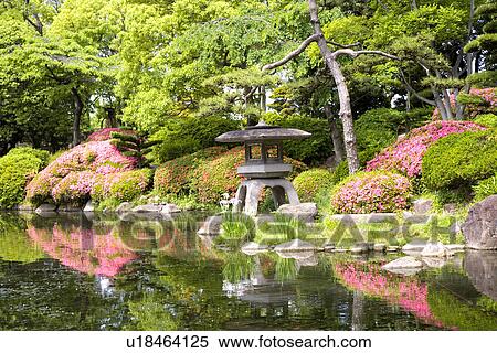 Japanese garden View Large Photo Image Stock Photography - Japanese garden. Fotosearch