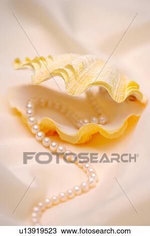 Stock Image - Pearl necklace with mussel shell. Fotosearch