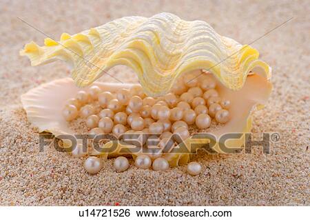 Pearls in mussel shell on sand, close-up View Large Photo Image Stock Photograph - Pearls in mussel shell on sand, close-up. Fotosearch