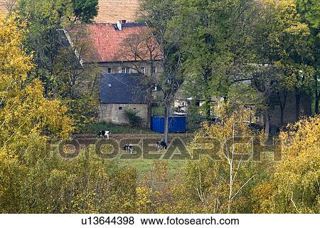 Cottages and trees in field View Large Photo Image Stock Photo - Cottages and trees in field. Fotosearch