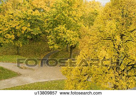 Stock Photo - Path in woods . Fotosearch