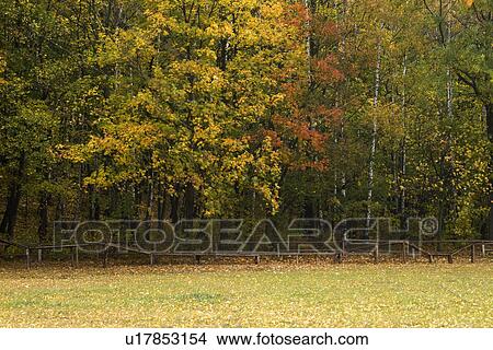 Trees in field View Large Photo Image Picture - Trees in field. Fotosearch