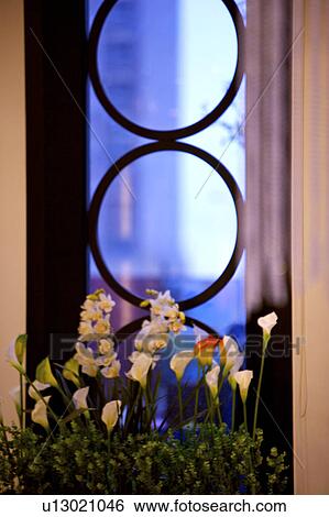 Window with flowers on window ledge View Large Photo Image Stock Photograph - Window with flowers on window ledge. Fotosearch