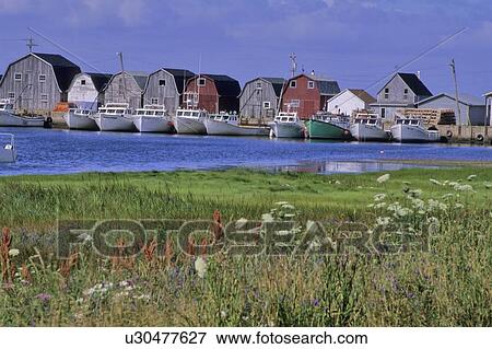 Fishing shacks line the bay at Malpeque Harbour, PEI View Large Photo Image Stock Photo - Fishing shacks line the bay at Malpeque Harbour, PEI. Fotosearch