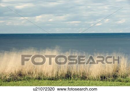 Stock Image - Lake Ontario at Niagara Shores Conservation Area - Ontario Canada. Fotosearch