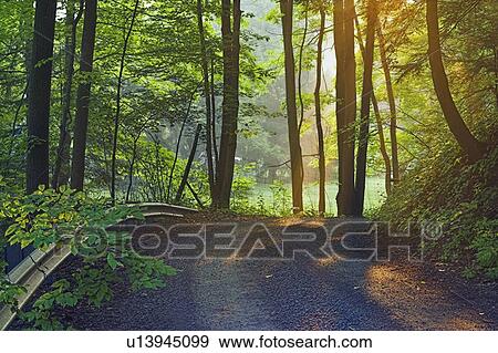 Orchard Hill Road at Sunrise, Pelham, Ontario, Canada View Large Photo Image Stock Photo - Orchard Hill Road at Sunrise, Pelham, Ontario, Canada. Fotosearch