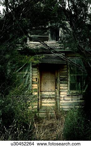 Overgrown derelict house, Robsart, Saskatchwan, Canada View Large Photo Image Picture - Overgrown derelict house, Robsart, Saskatchwan, Canada. Fotosearch