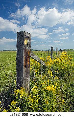 Stock Photo - Rural scenic with fenceline near Binbrook, Ontario, Canada. Fotosearch