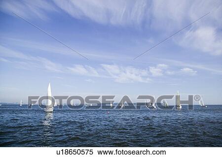 Stock Photography - Sail racing, West Vancouver Yacht Club, West Vancouver, BC Canada. Fotosearch