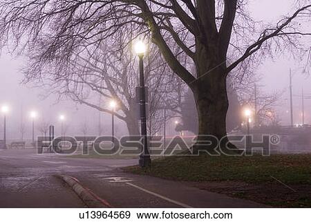 Stock Photo - Stanley Park at dawn. Fotosearch