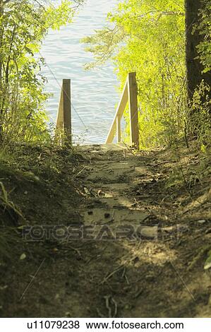 Stock Photo - Steps down to Clear Lake; Canada, Manitoba, Riding Mountain National Park. Fotosearch