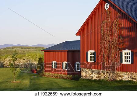 Stock Photo - View of barn, apple orchard in bloom and Jay Peak in Vermont (center) at sunset, Eastern Townships, Quebec, Canada.. Fotosearch