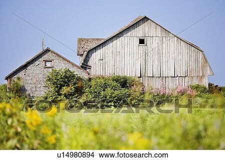 View of old barn, Bas-Saint-Laurent region, Quebec, Canada View Large Photo Image Picture - View of old barn, Bas-Saint-Laurent region, Quebec, Canada. Fotosearch