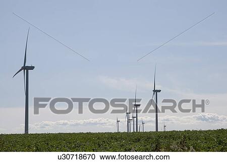 Wind turbines, near East Point, Prince Edward Island View Large Photo Image Stock Image - Wind turbines, near East Point, Prince Edward Island. Fotosearch