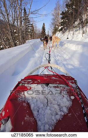 Stock Photography - View of Dog Sled in action, Marsoui, Gaspesie, Quebec. Fotosearch