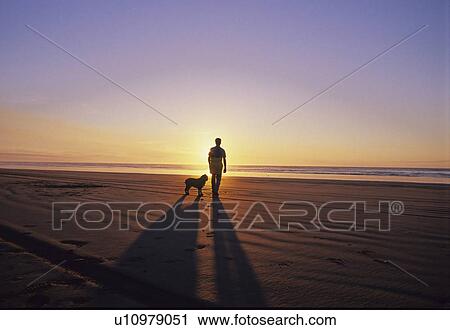 Man and dog stand in sunset on beach, California View Large Photo Image Stock Image - Man and dog stand in sunset on beach, California. Fotosearch