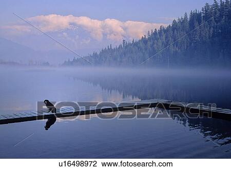 One Mile Lake, near Pemberton, BC in early morning mist View Large Photo Image Stock Image - One Mile Lake, near Pemberton, BC in early morning mist. Fotosearch