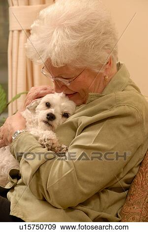Senior Woman white dog, Regina, Saskatchewan View Large Photo Image Stock Photo - Senior Woman white dog, Regina, Saskatchewan. Fotosearch