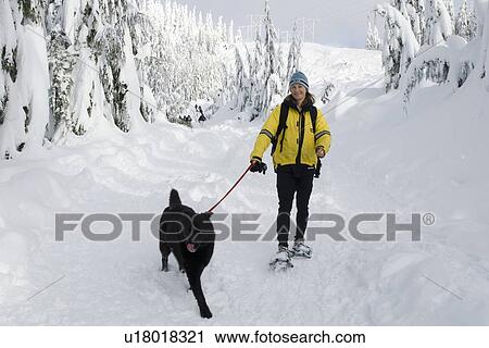 Stock Image - Woman on snowshoes with dog. Fotosearch