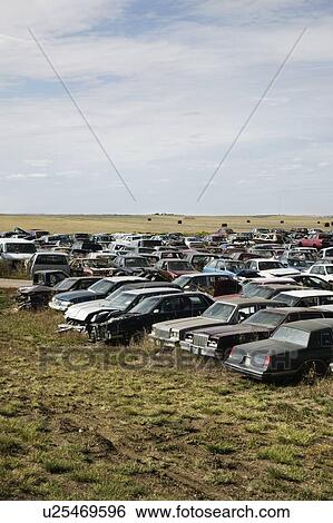 A car junkyard in Saskatchewan View Large Photo Image Stock Photograph - A car junkyard in Saskatchewan. Fotosearch
