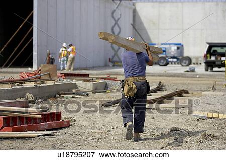 Construction worker carrying wood beams across a construction site; Canada, Ontario, Hamilton View Large Photo Image Stock Photo - Construction worker carrying wood beams across a construction site; Canada, Ontario, Hamilton. Fotosearch