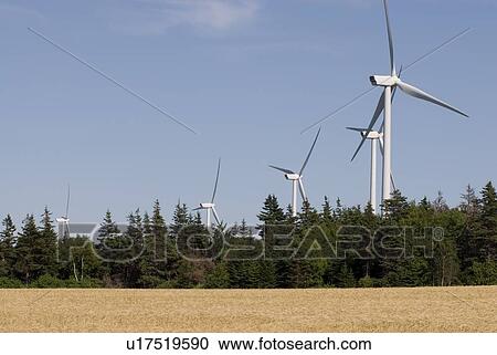 Stock Image - Wind turbines, near East Point, Prince Edward Island. Fotosearch