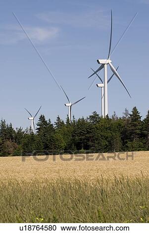 Wind turbines, near East Point, Prince Edward Island View Large Photo Image Stock Image - Wind turbines, near East Point, Prince Edward Island. Fotosearch